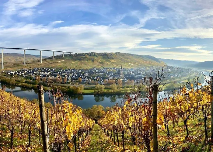 Blaue Haus Zeltingen-Rachtig